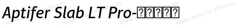 Aptifer Slab LT Pro字体转换